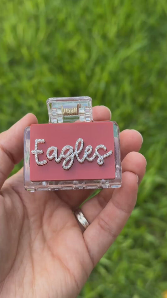 Small Eagles Hair Clip
